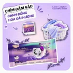 Giấy giặt hút màu Dr.Sera gói nhỏ tiện lợi mang hương thơm cánh đồng oải hương